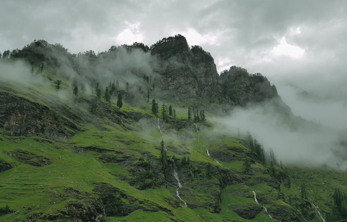 Family Tour in Manali