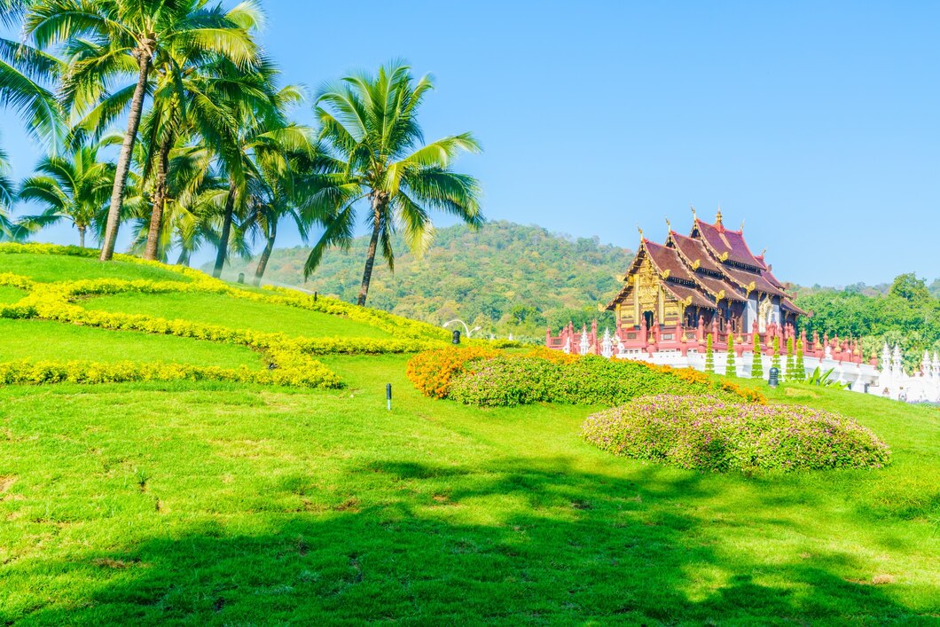 Kerala Landscape