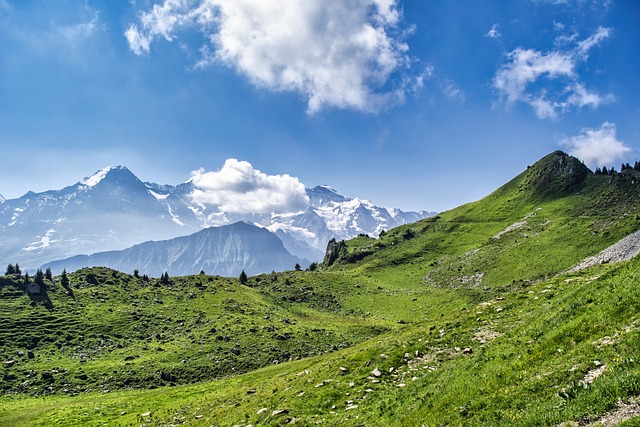 Himalayan Mountains