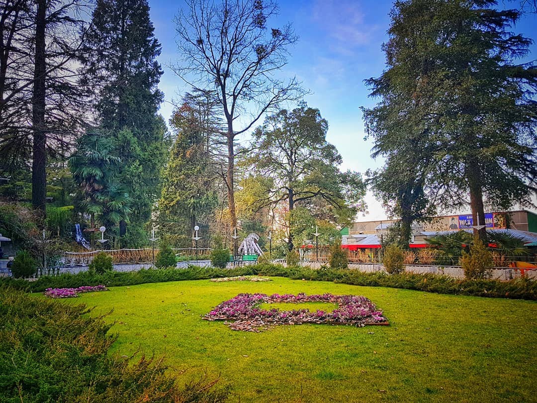 Company Garden